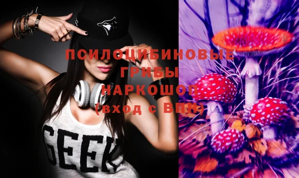 spice Заводоуковск