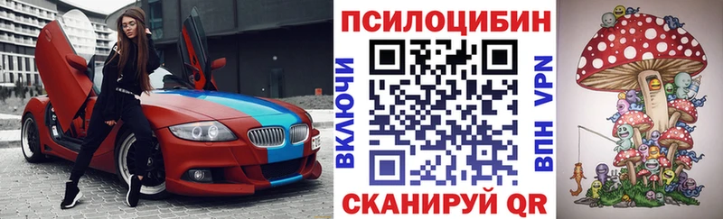 Псилоцибиновые грибы GOLDEN TEACHER что такое Грайворон